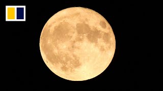 WATCH LIVE: Partial lunar eclipse ‘supermoon’ Profile