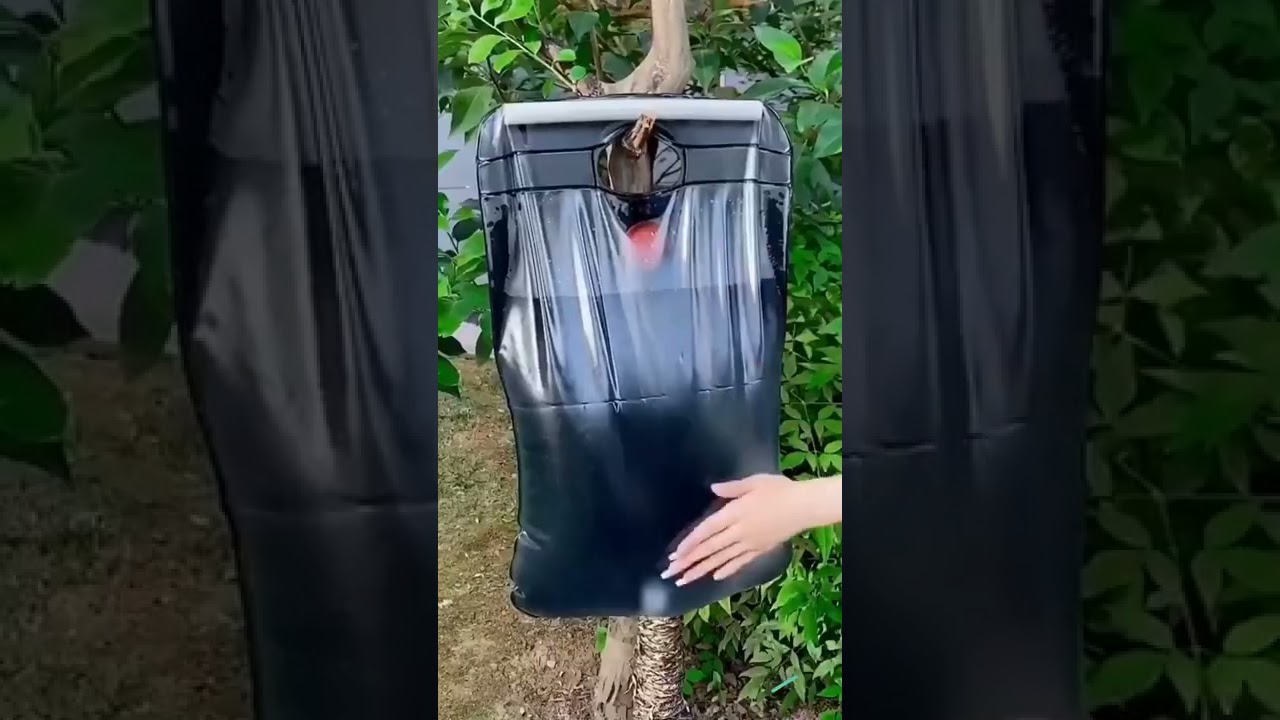 Solar Camp Shower Bag Demonstration & Review