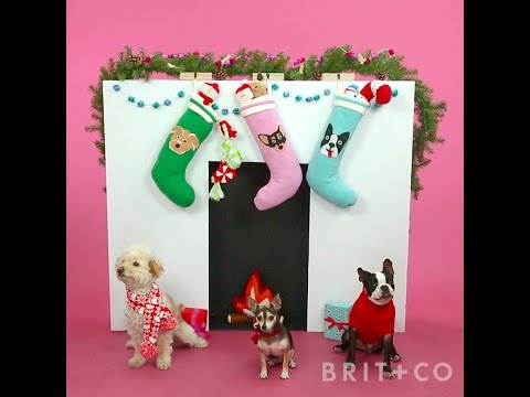 How to DIY Dog Stocking