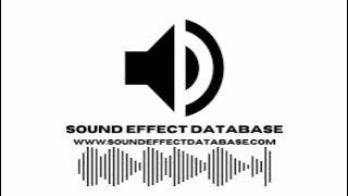 44 Magnum Handgun Six Shots Sound Effect