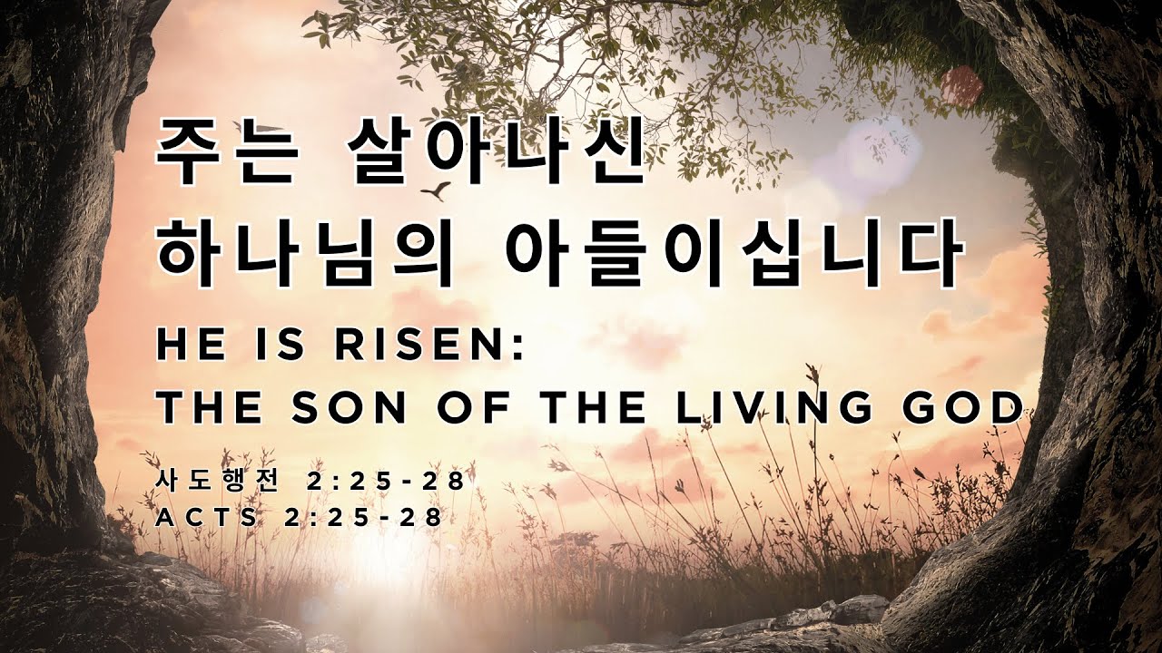 042025(Easter) "주는 살아나신 하나님의 아들이십니다" 사도행전 2:25-28, 홍대권 목사