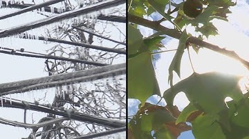 Keep on top of ERCOT grid conditions with new TXANs system