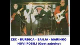 Novi fosili - Ljubav koja nema kraj