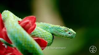 DD NATIONAL | Environmental TV Series | Re-edited Title Song