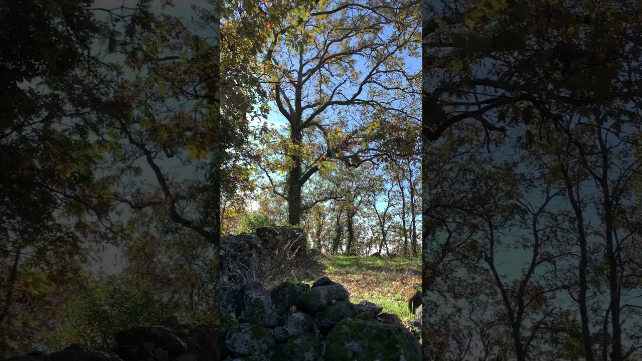 Ruta de Pasaron De la Vera a Arroyomolinos De la Vera