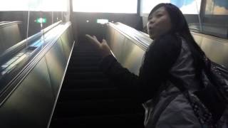 京阪奈自由行20160929(8)