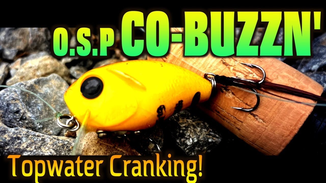 Leurre OSP CO-BUZZN’ Rose – Topwater Flottant Pour Bass – Made In Japan