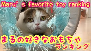 【まる調べ】愛猫の好きなおもちゃランキング　Maru’s favorite toys ranking
