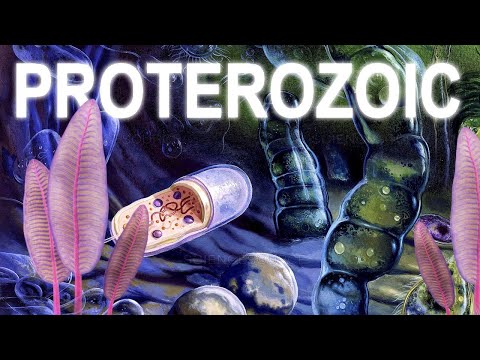 The improvements of the cells: Proterozoic