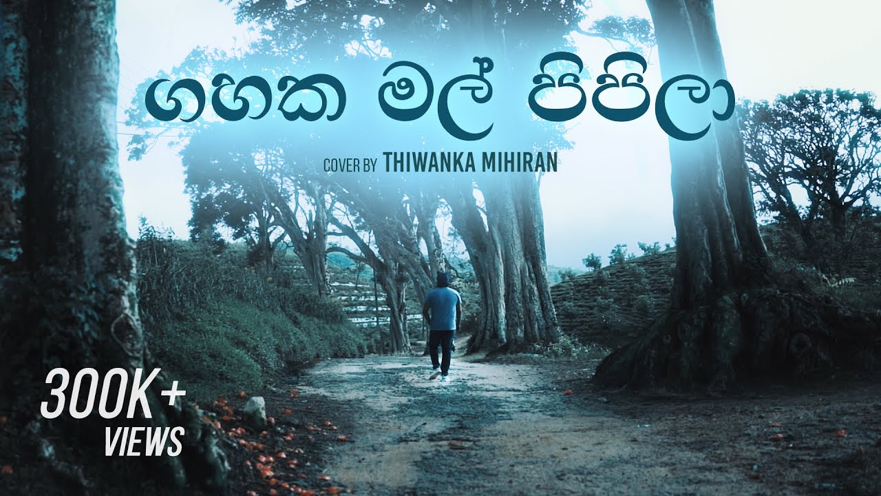 Gahaka Mal Pipila       Cover by Thiwanka Mihiran