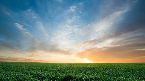 FTS Company Overview