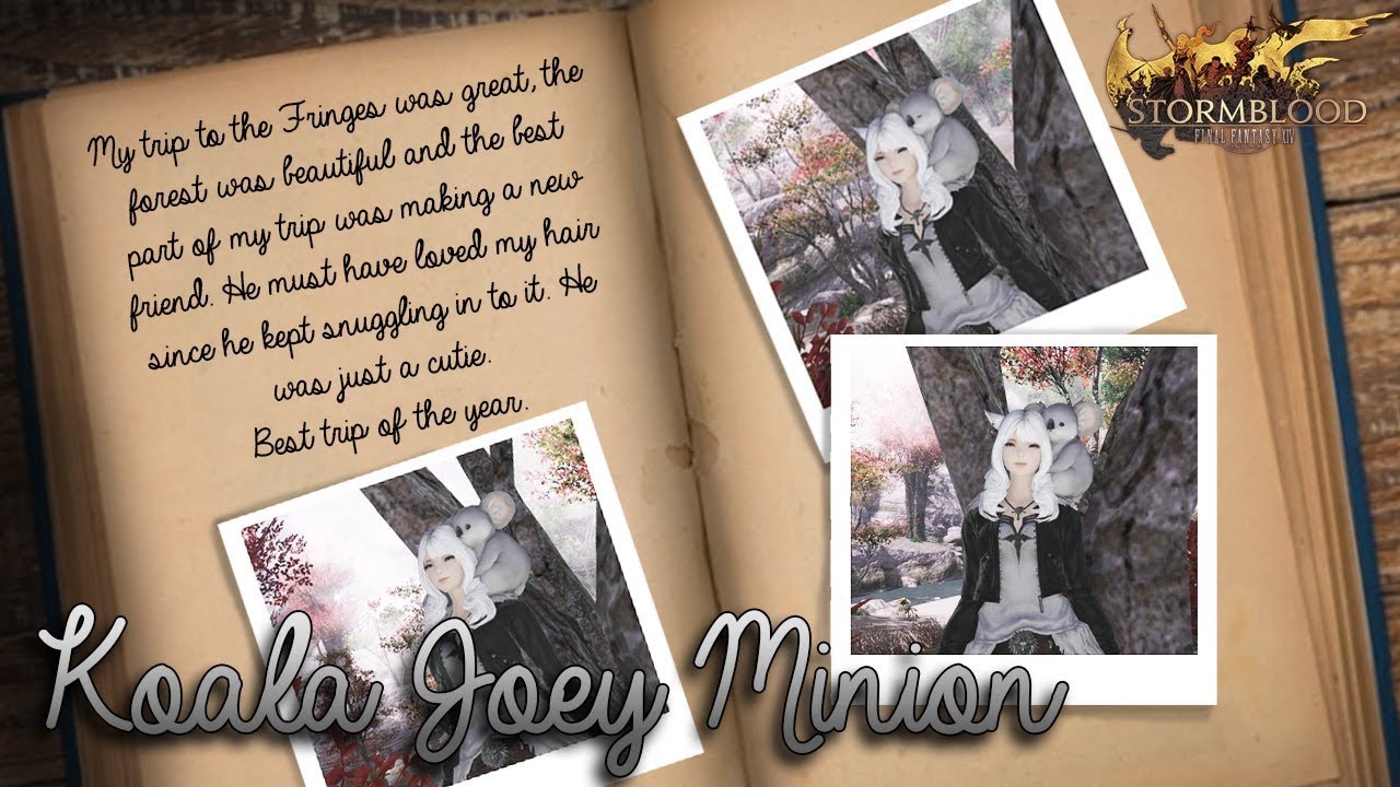 FFXIV: Koala Joey Minion