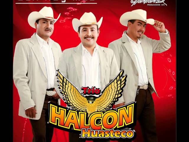 Trio Halcon Huasteco - Soledad