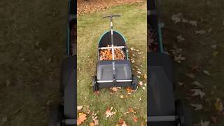 Fall Leaf Collector