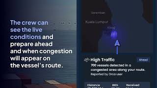 Orca AI Co--Captain in Action - High Traffic