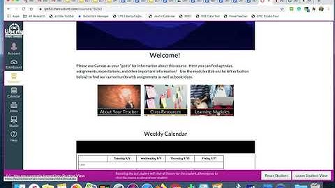 Navigating Canvas   ELA 11