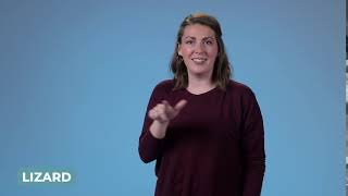 Learn How to Sign Lizard in ASL | LearnHowToSign.org