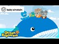 Counting Mama &amp; Baby Whales ⓵2⓷| Ocean Explorers Compilation | Baby Einstein | Kids Learning Cartoon