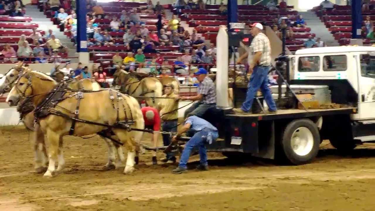 Horse Tractor Pulling YouTube