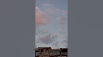 Spring vibes #shorts #shortsvideo #spring #vibes #spring2024 #2024 #fyp