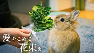 手作り花束プレゼント！しかしウサギが喜んだのは花束にではなく...No.120