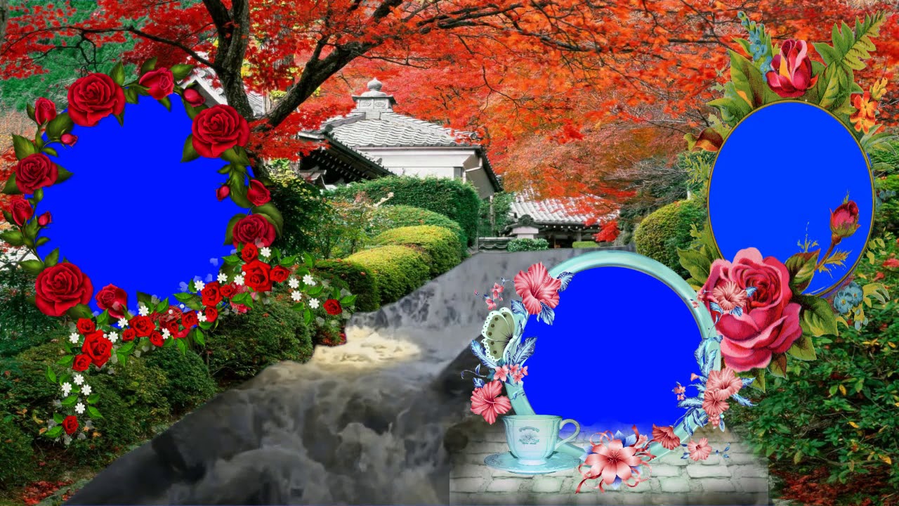 Royalty Free Wedding Frame Green Screen Motion Background Video Effects HD