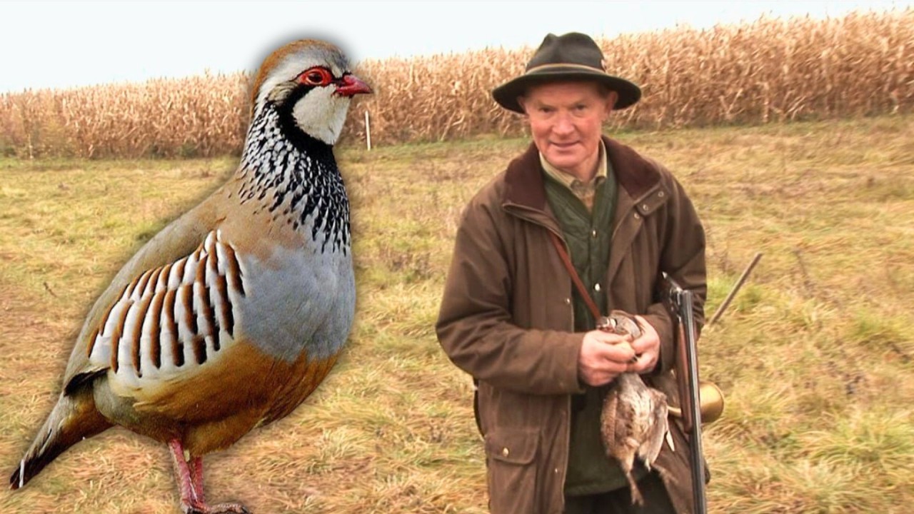 BATTUES AUX PETITS GIBIERS AU DOMAINE DE LA CERISAILLE