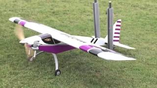 Wot 4 extreme 60cc twin