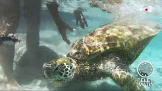 Odysée - Mission Pacifique