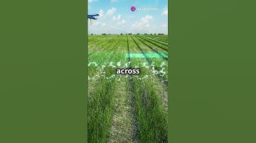 What is DePIN? Explain the concept of Decentralized Physical Infrastructure Networks. Peaq