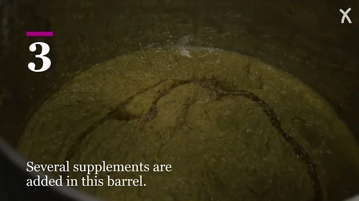 From organic waste to vegan leather