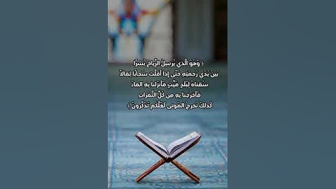 الشيخ/ سلطان عبدالله العمري - ماتيسر من سورة الأعراف