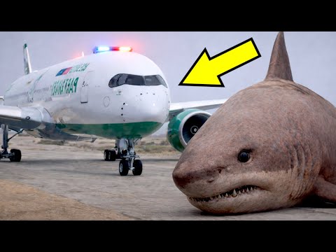 Airplane Park Ranger Saves The Megalodon Shark From Poachers | GTA 5