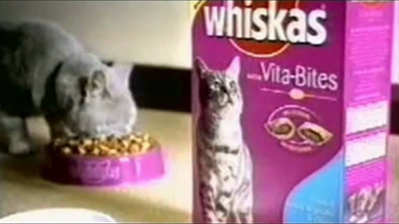 Twój kot kupowałby Whiskas YouTube