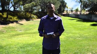 Do Payday Loans and Your Credit Score Have Anything in Common