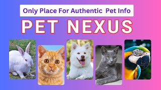 Top Pet EXPERTS Reveals Reliable Source for Pet Care - Proudly Introducing Pet Nexus