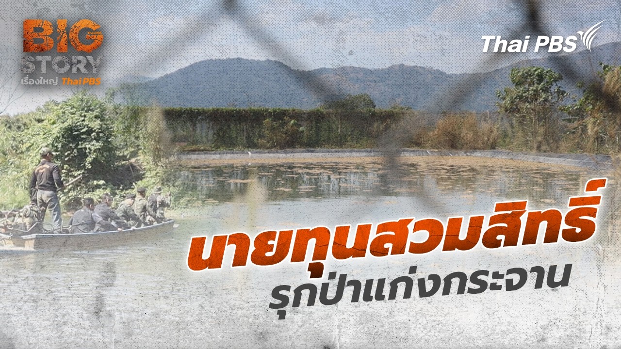 นายทุนสวมสิทธิ์รุกป่าแก่งกระจาน | Big Story เรื่องใหญ่ Thai PBS | 9 มี.ค. 69