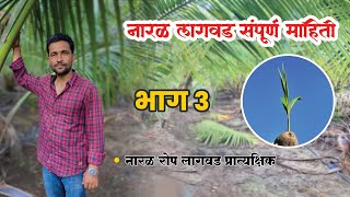 Coconut Farming Naral Sheti Coconut Farming Part 3 Bhag 3 Coconut Planting Demonstration