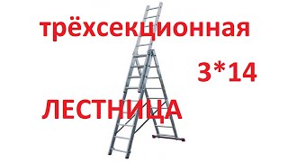 Лестница трехсекционная 3*14 алюминиевая ДОГРУЛАР. Обзор.