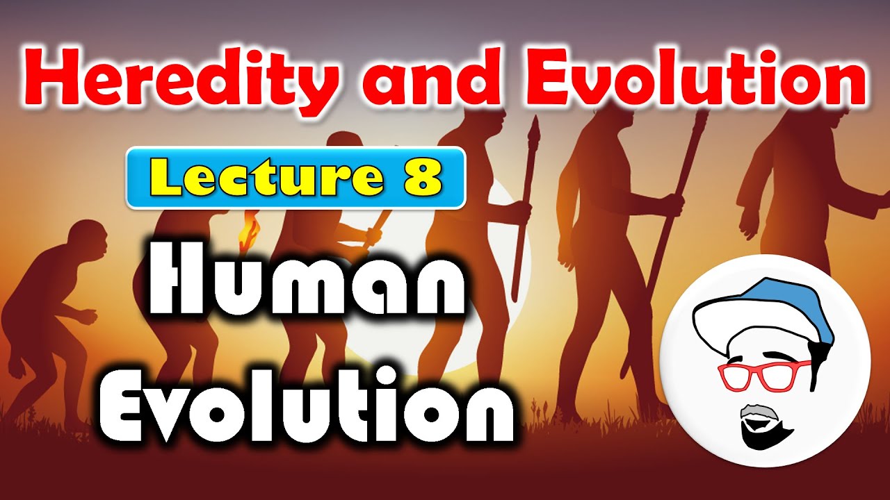 make a presentation on human evolution class 10