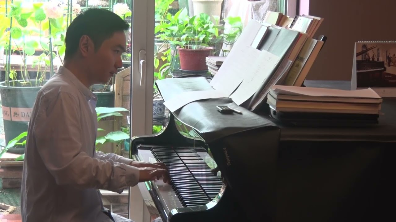 Wenyu Shen plays Scarborough Fair