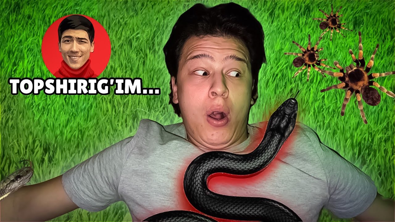 BLOGERLARDAN 50 TA EKSTREMAL TOPSHIRIQ! **3-QISM**