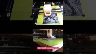 Pirate Queen Sword Fighting Bw ASMR — Real 3D Printer 3D Print — Oddly Satisfying #shorts