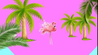 Flamingo video material screenshot 1