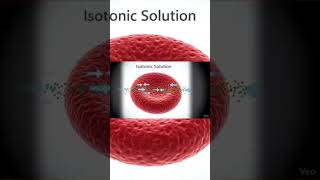 what is heterogeneous and homogeneous mixture?#viral #facts #science