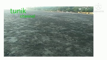 JALAN - JALAN DI SORE HARI DI PANTAI KELATING@Tunikchennel