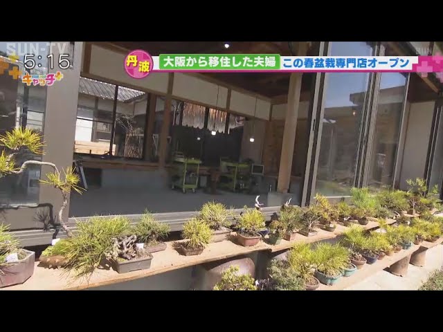 盆栽専門店「BONSAI LABO Tamba」 - YouTube