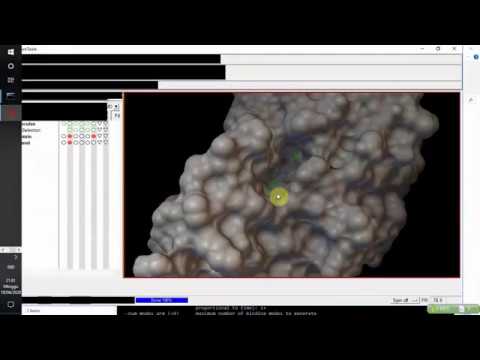 [Docking] How To Prepare and Run Docking Using Autodock Vina and ADT ...