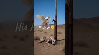 helper locate him ❤️👌🏼