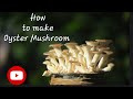 Oyster Mushroom Farming | Simple & Profitable Method